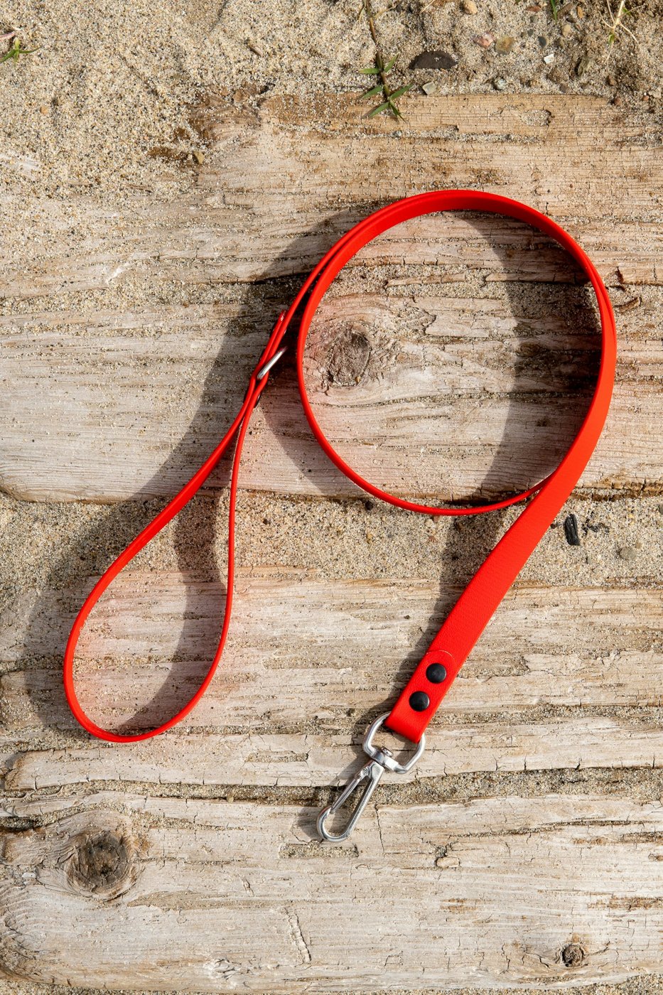 Red dog leash
