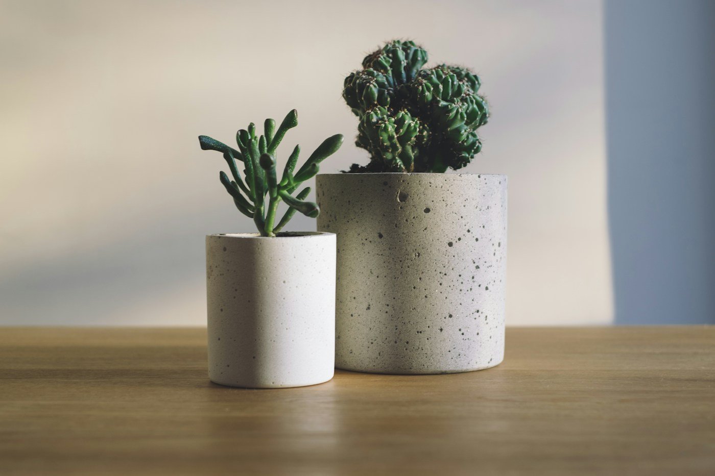 Pair of speckled planters
